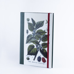 Deník s ilustrací Z PŘÍRODOPISNÝCH ATLASŮ