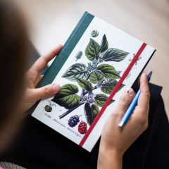 Deník s ilustrací Z PŘÍRODOPISNÝCH ATLASŮ