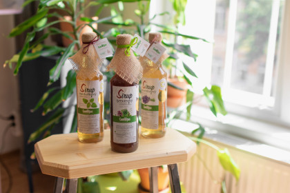 MEDUŇKOVÝ SIRUP S DOBROMYSLÍ